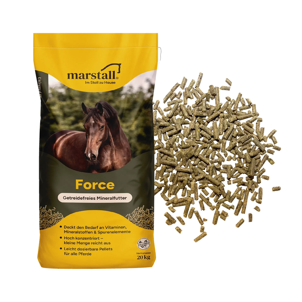 Force