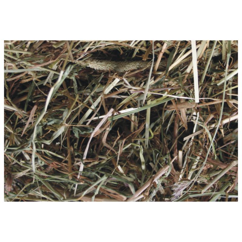 Agrobs Wiesenheu Detailbild Heu