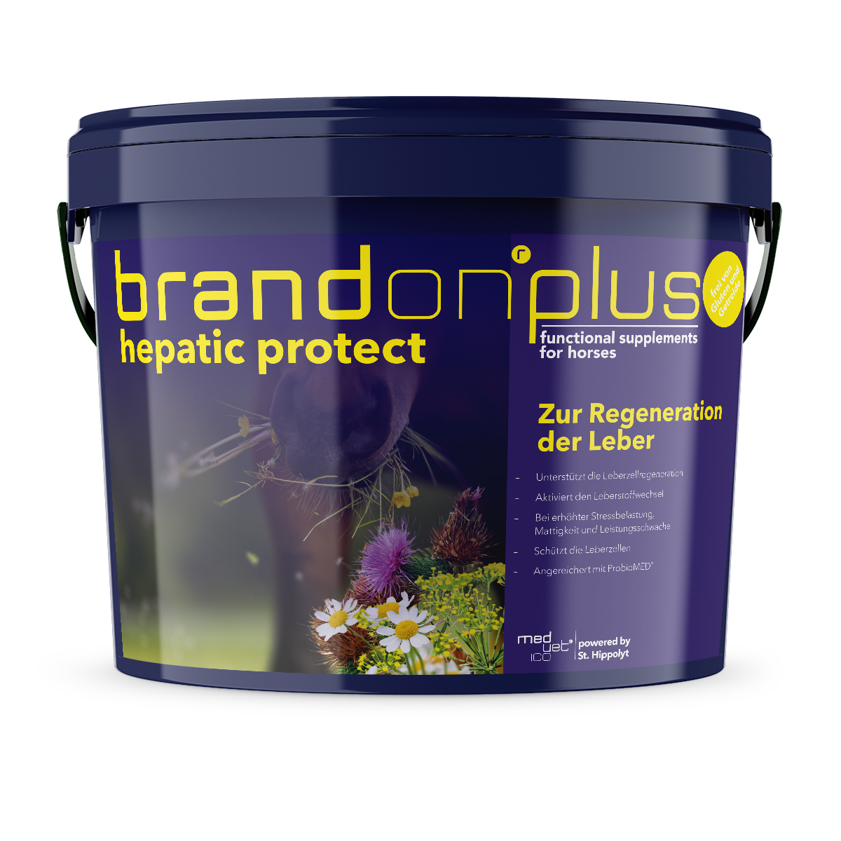 St.Hippolyt Brandon plus hepatic protect Eimer