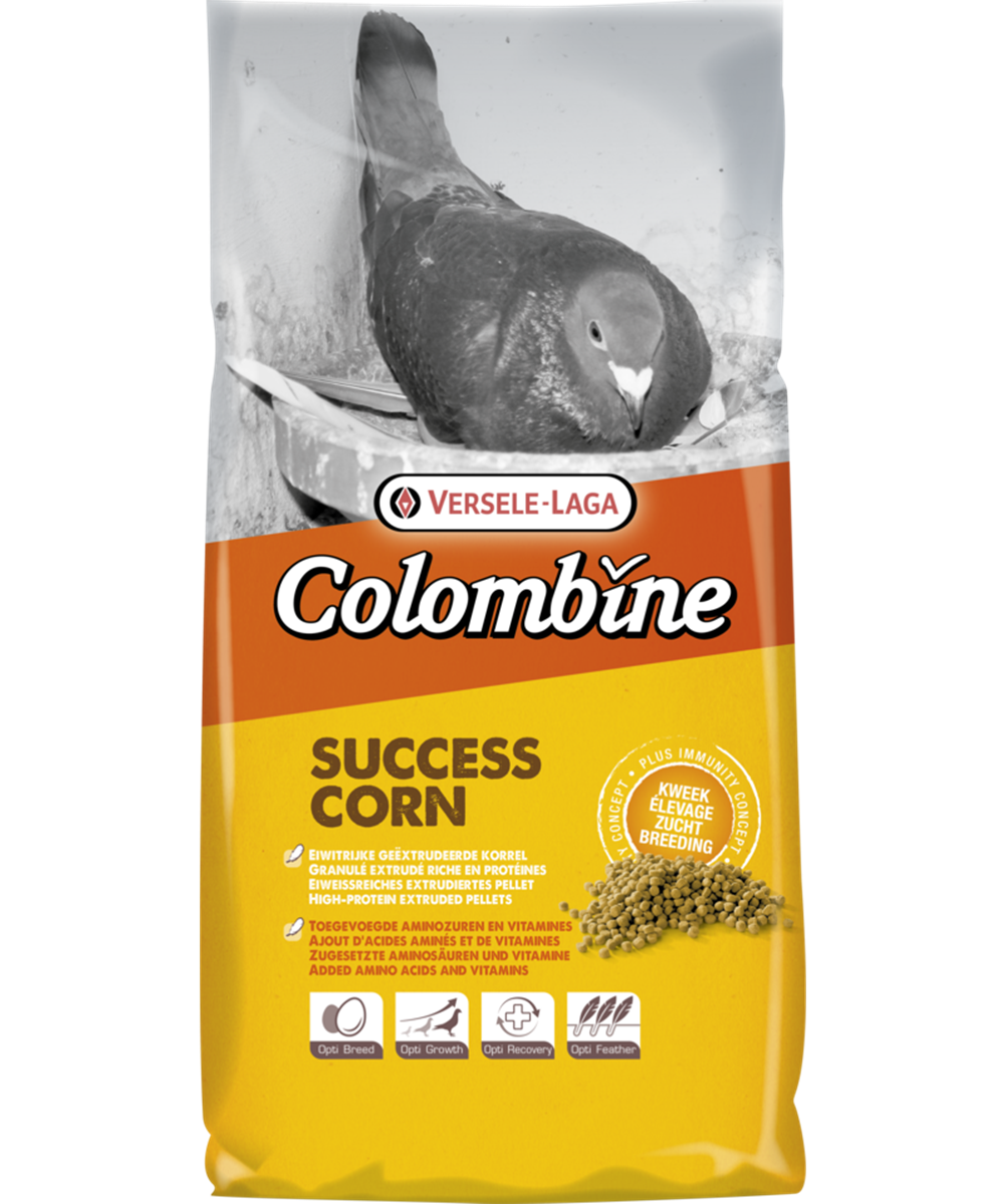 Success Corn
