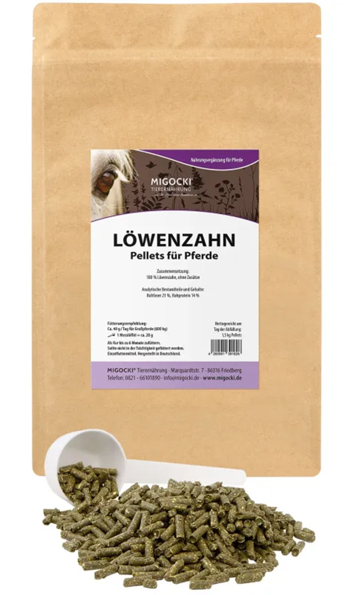 LÖWENZAHN für Pferde