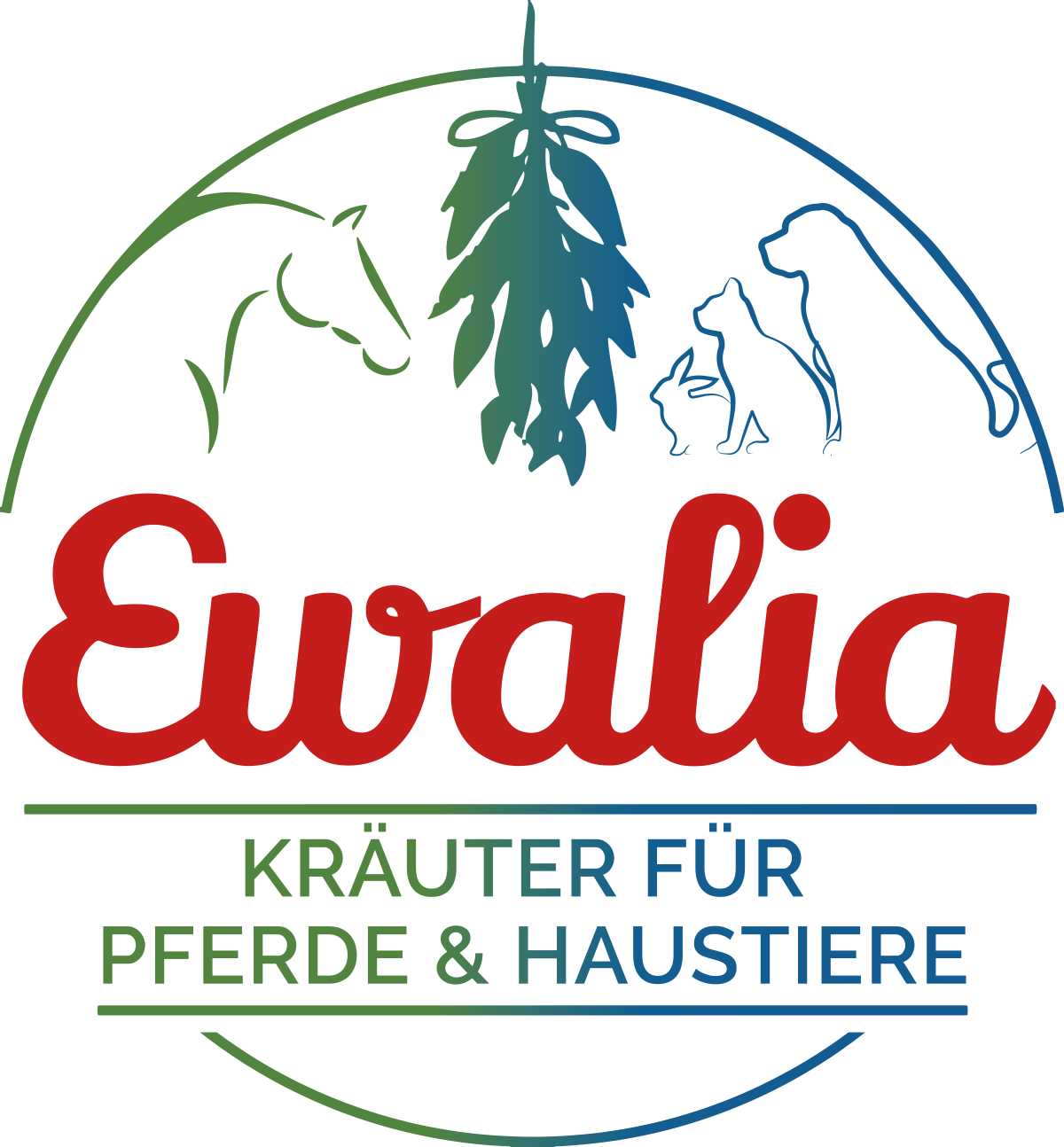 Bild - ewalia