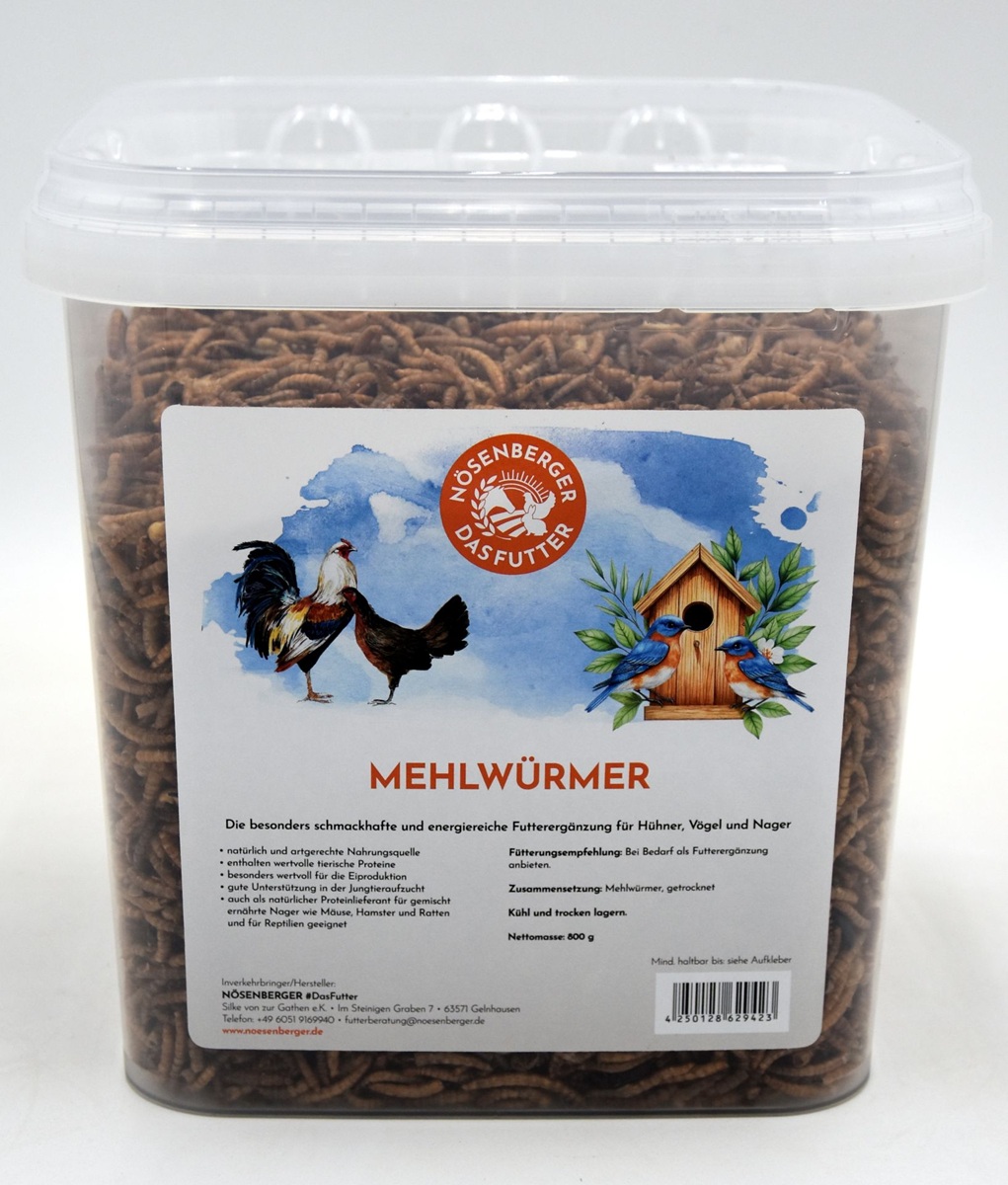 Mehlwürmer