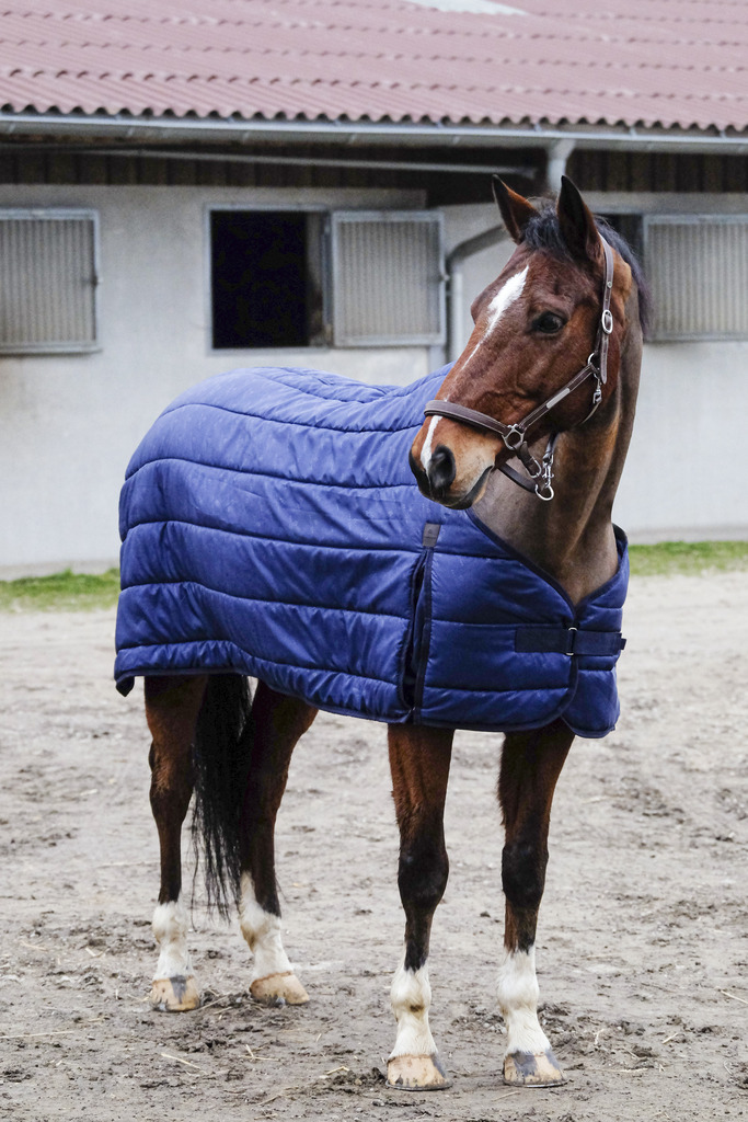 Produktansicht - EQUITHÈME - Classic Unterdecke