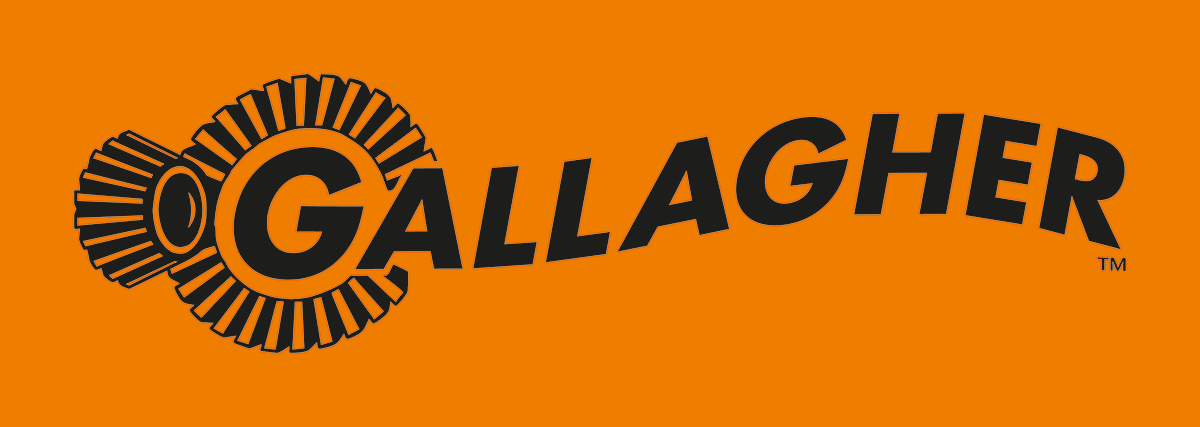 Bild - gallagher