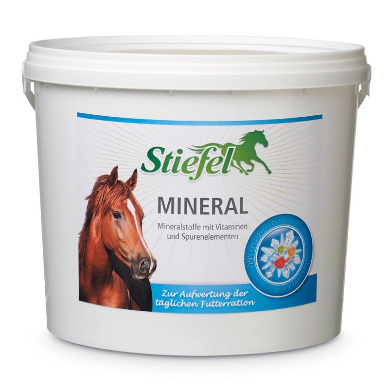 Stiefel Mineral