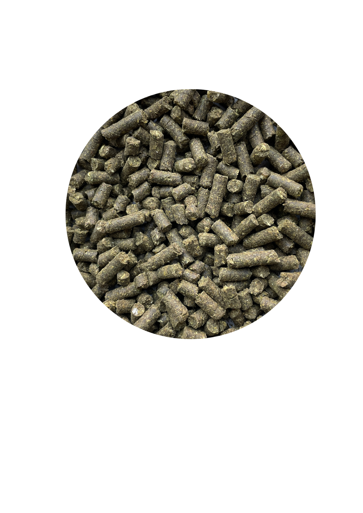 Produktansicht - Atcom - Bronchi-Rapid