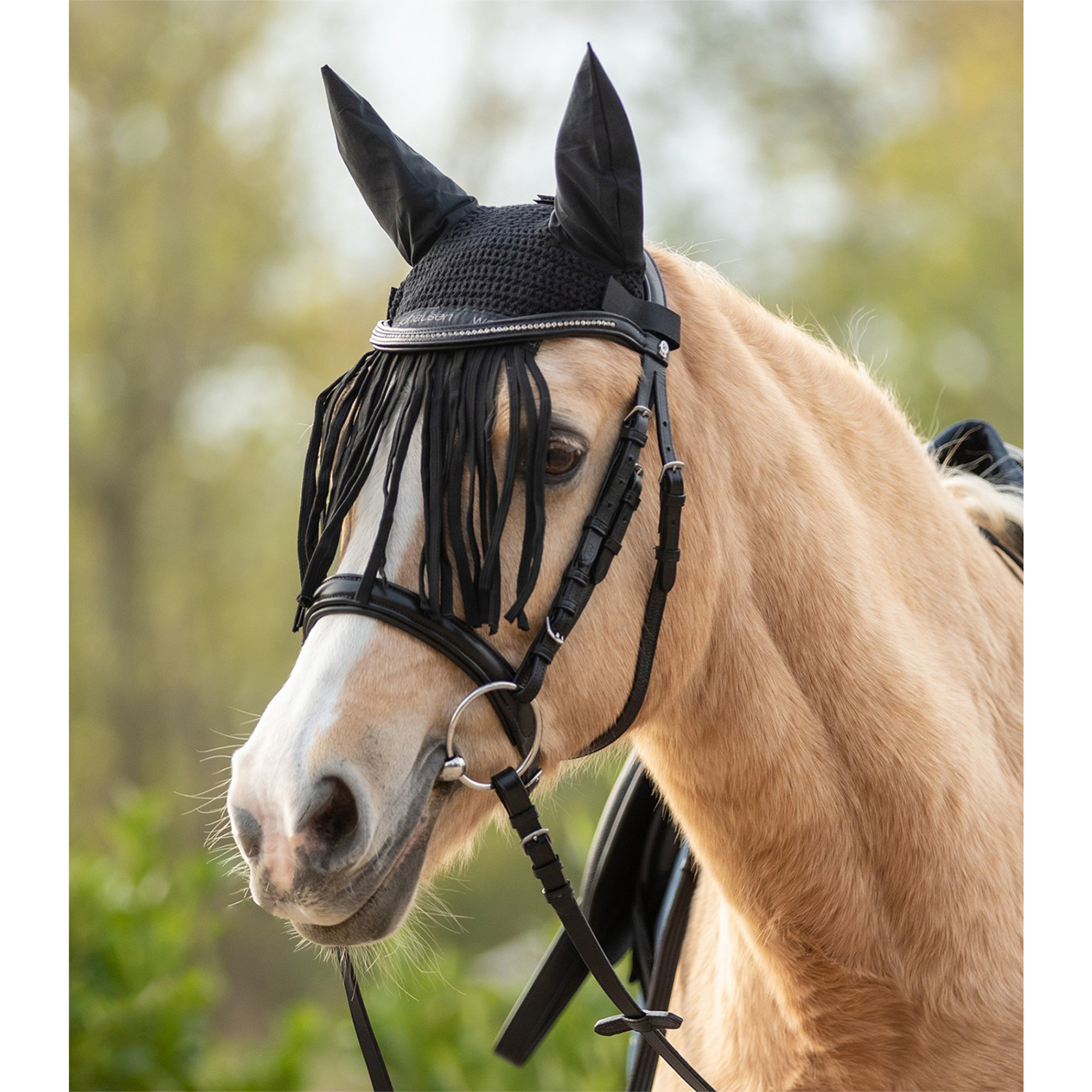 Waldhausen Fliegenohren mit Fransen am Pony