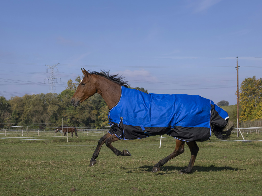 Produktansicht - EQUITHÈME - Tyrex Aisance Outdoordecke High Neck 1200D