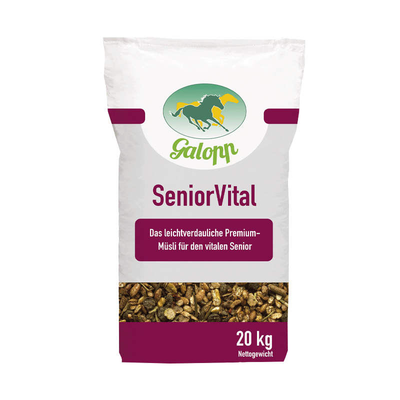 Galopp SeniorVital