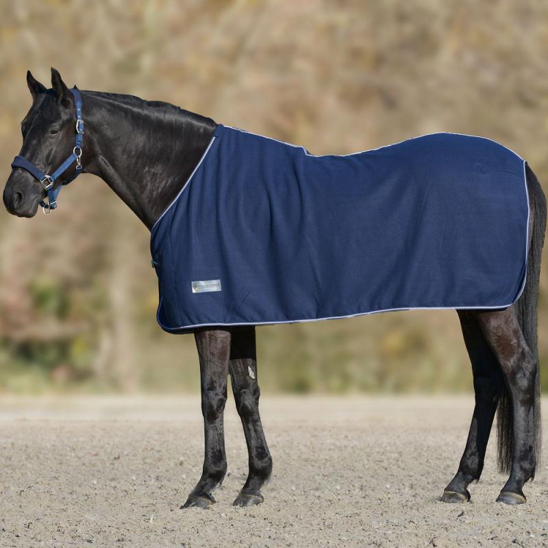 Waldhausen Fleecedecke Economic in Blau