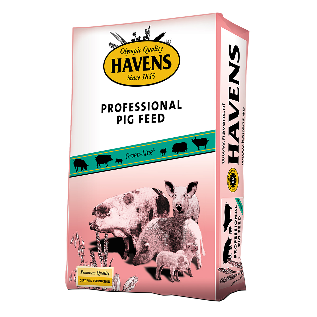 Havens Piglet Start