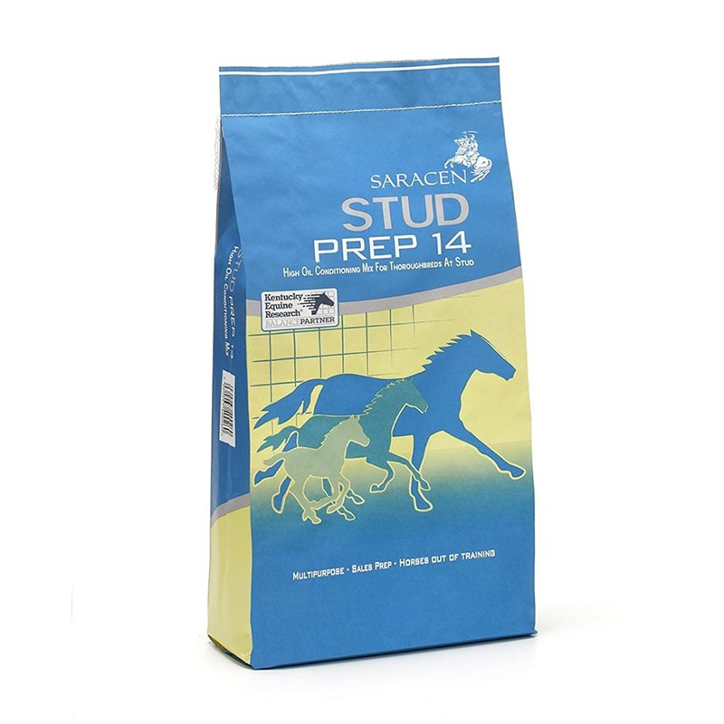 Saracen Stud Prep 14