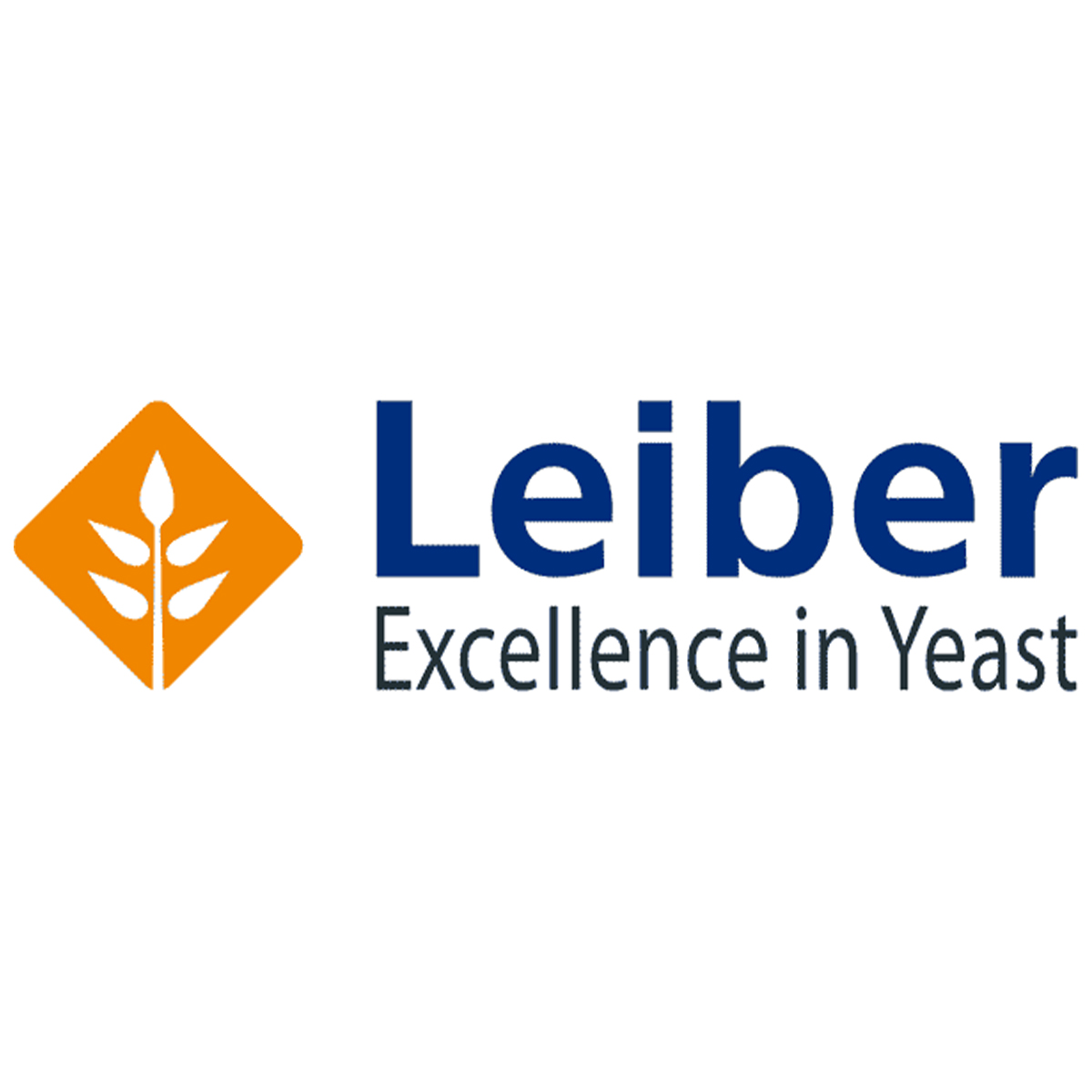 Bild - leiber_logo_shop