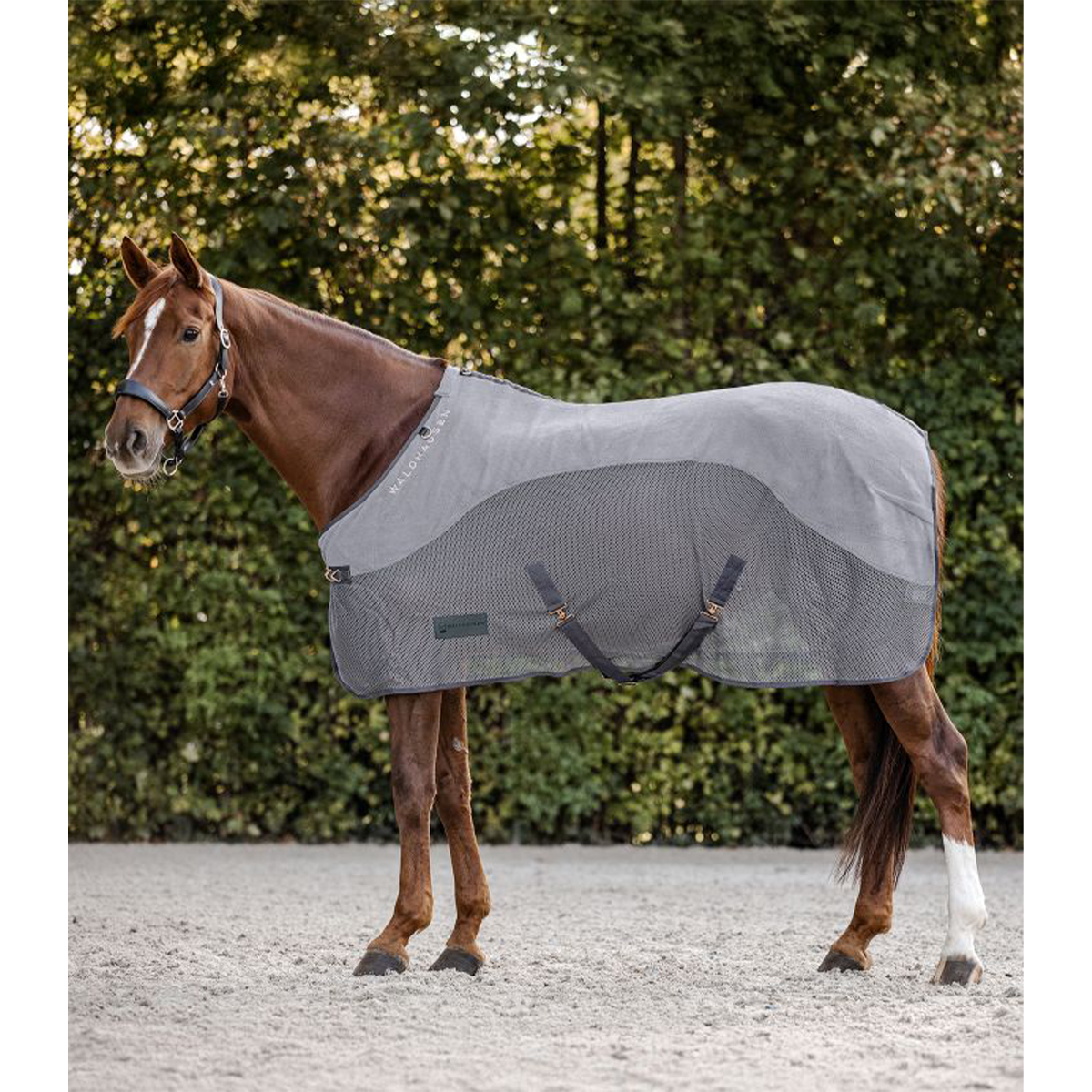 Produktansicht - Waldhausen - Fleece/ Fliegendecke Comfort