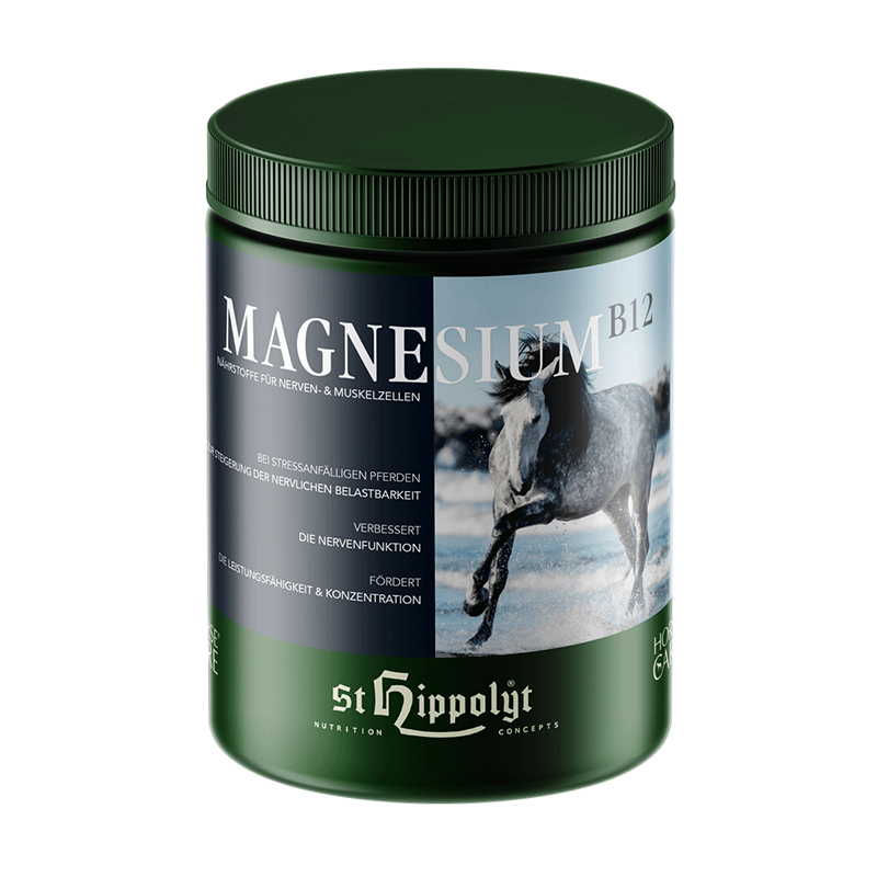 St.Hippolyt Magnesium B12 Dose
