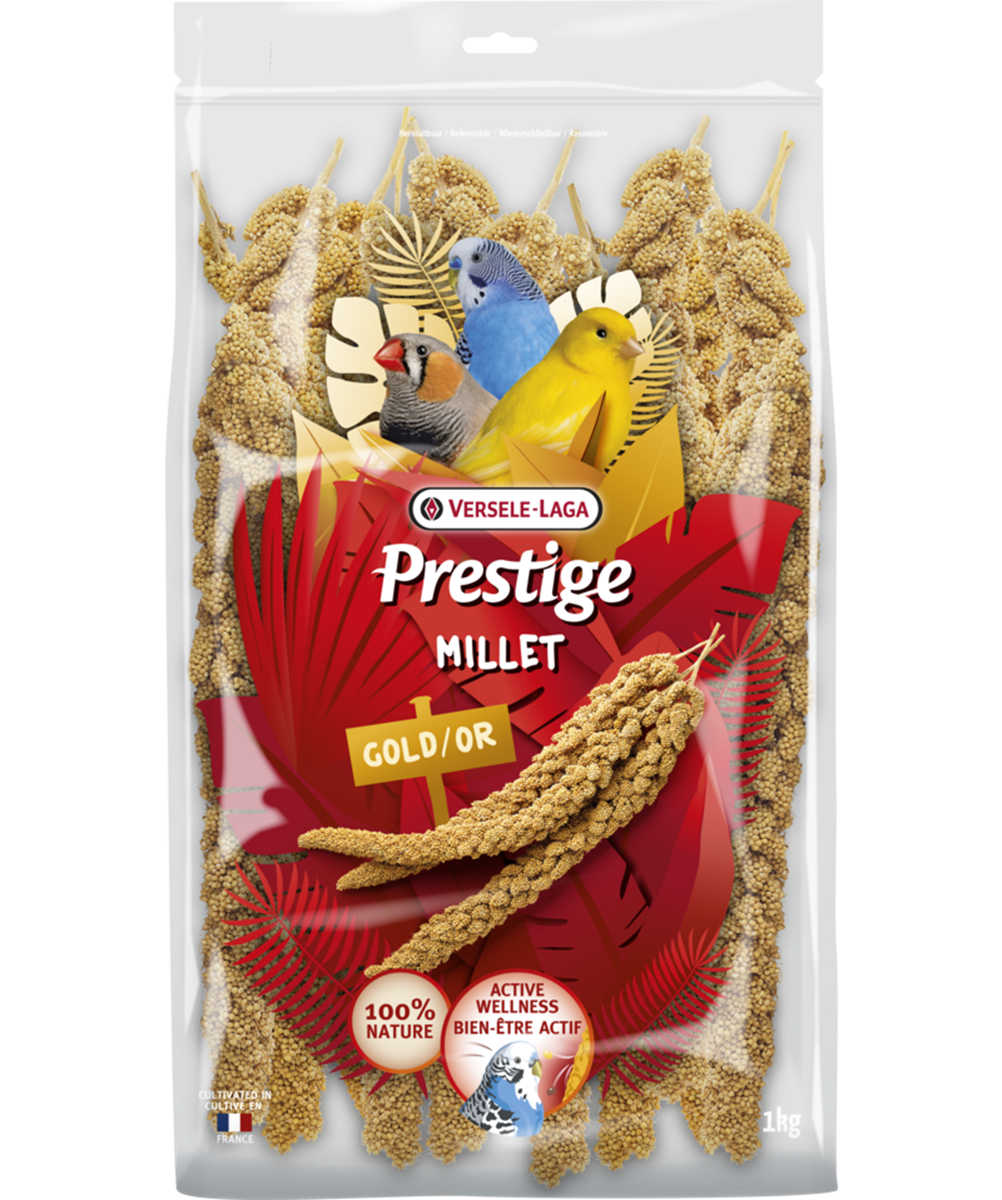 Kolbenhirse gelb