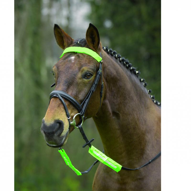 Waldhausen Reflex Trensenzaum-Set