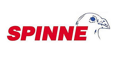 Bild - spinne-logo