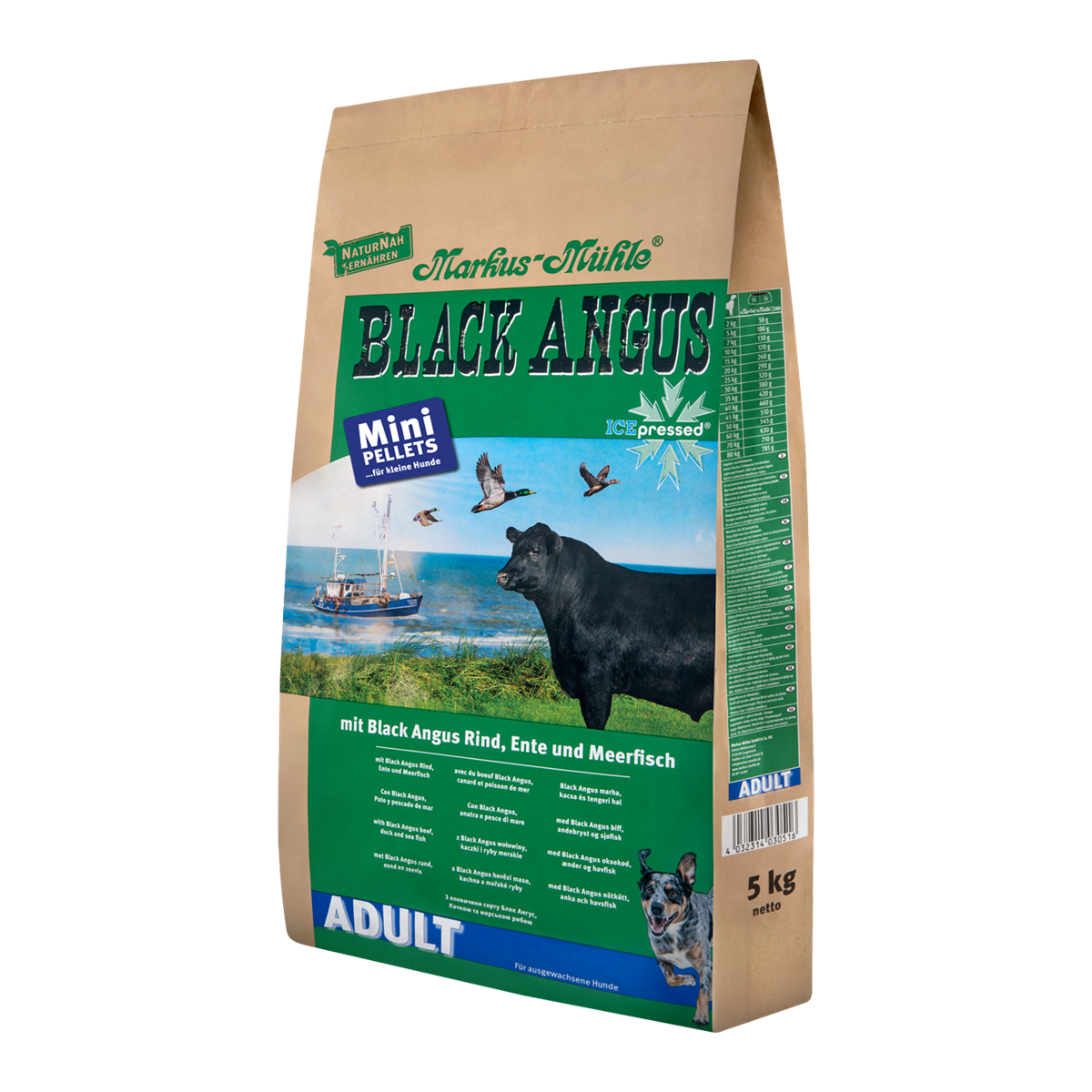 Black Angus Adult Mini