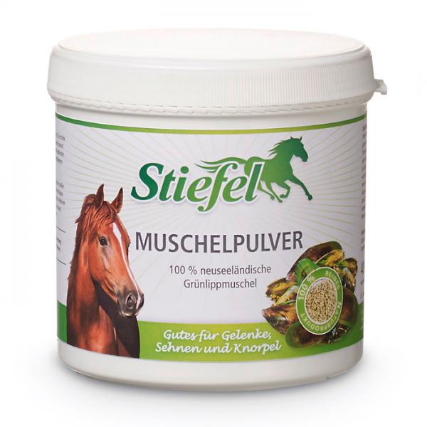 Stiefel Muschelpulver