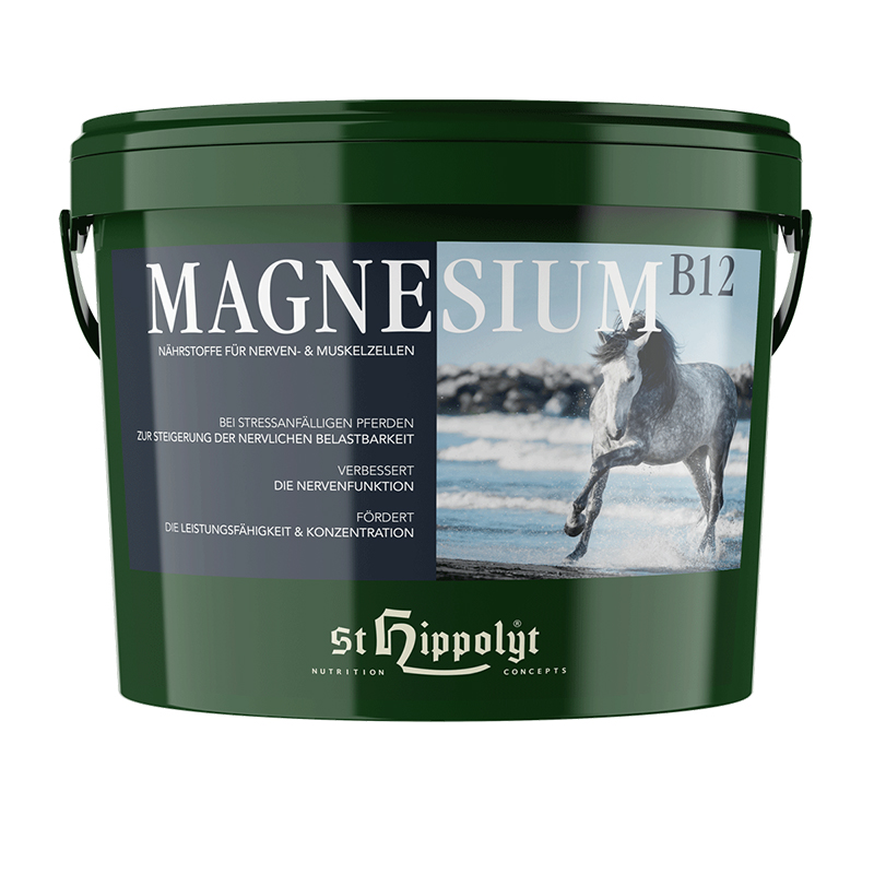 St.Hippolyt Magnesium B12 Eimer