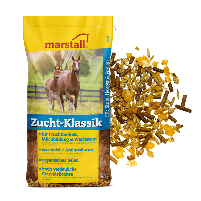 Produktansicht - marstall - Zucht-Klassik