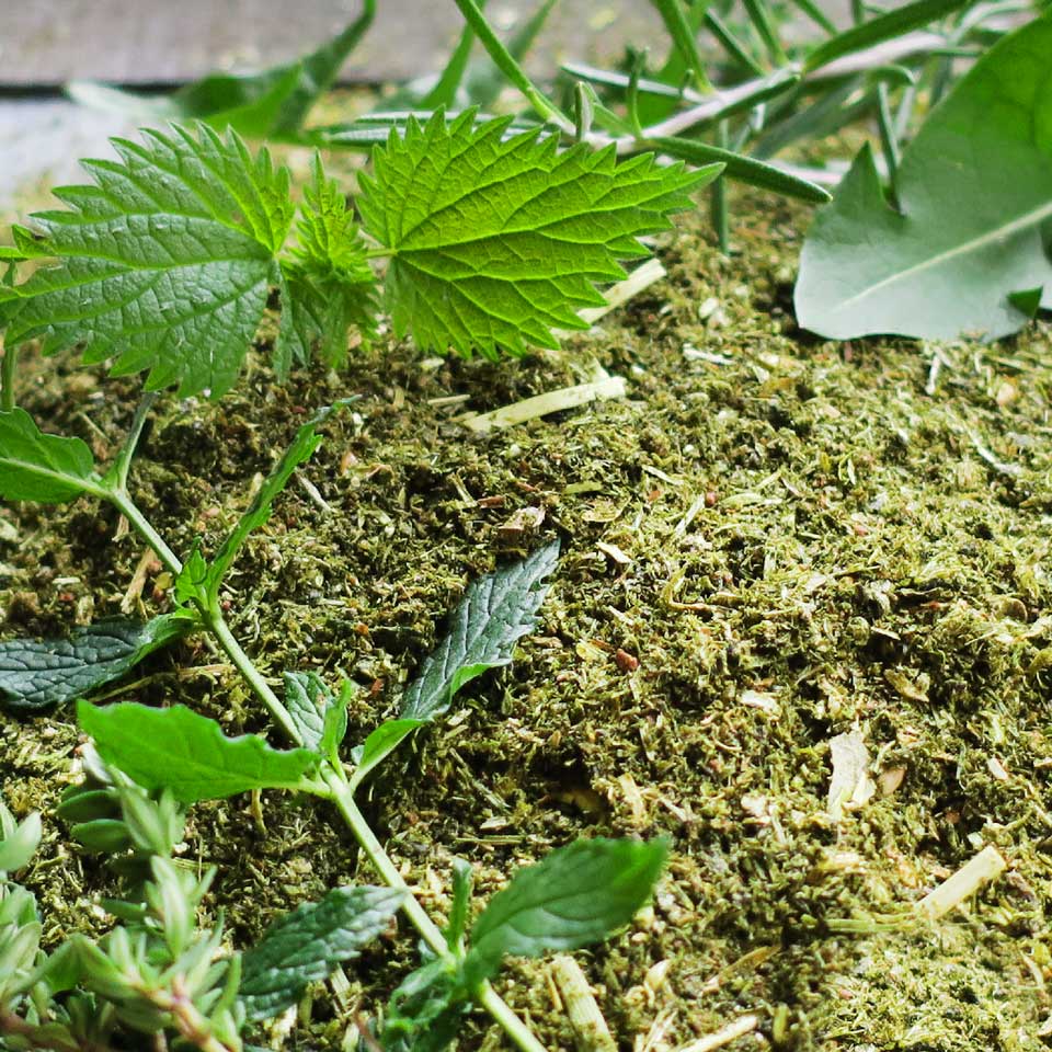Eohippos Herbal Heaven Mas Detailbild
