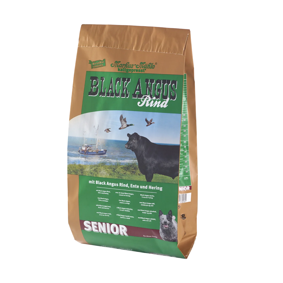 Black Angus Senior