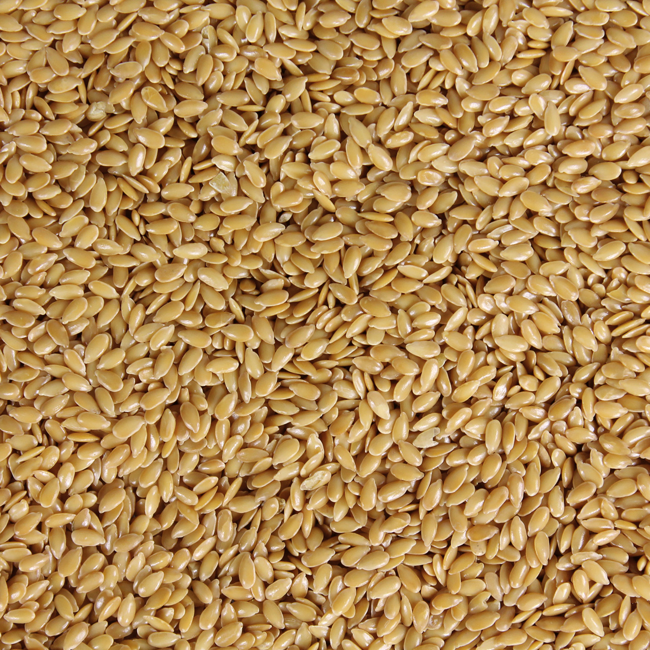 Louven Leinsaat Gold 3,50kg