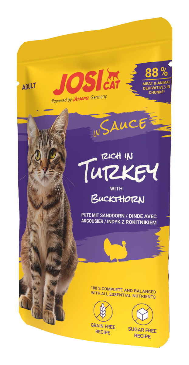 rich in turkey in sauce