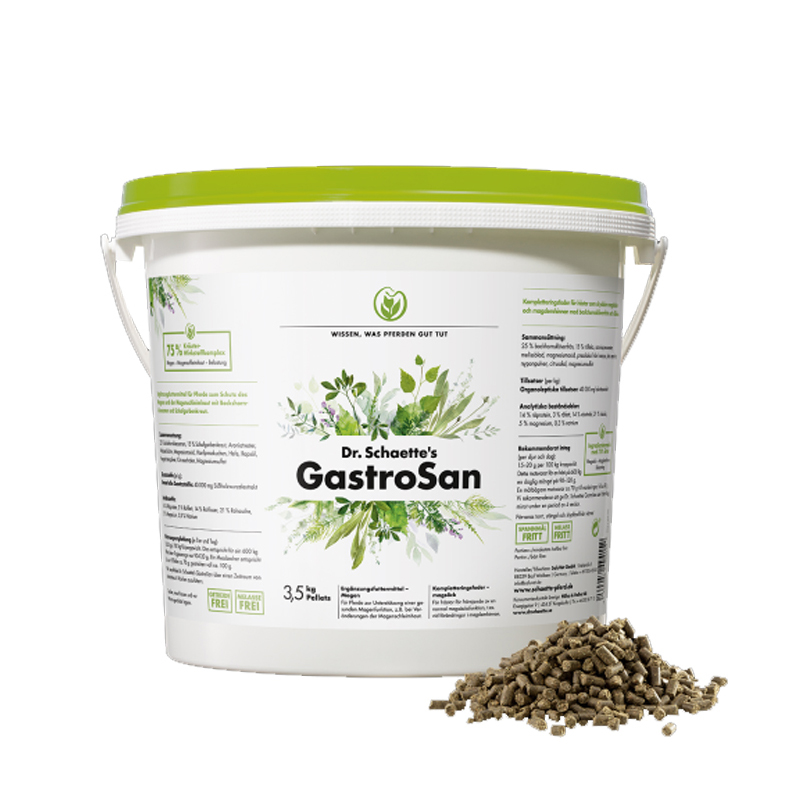 Produktansicht - Dr.Schaette - GastroSan