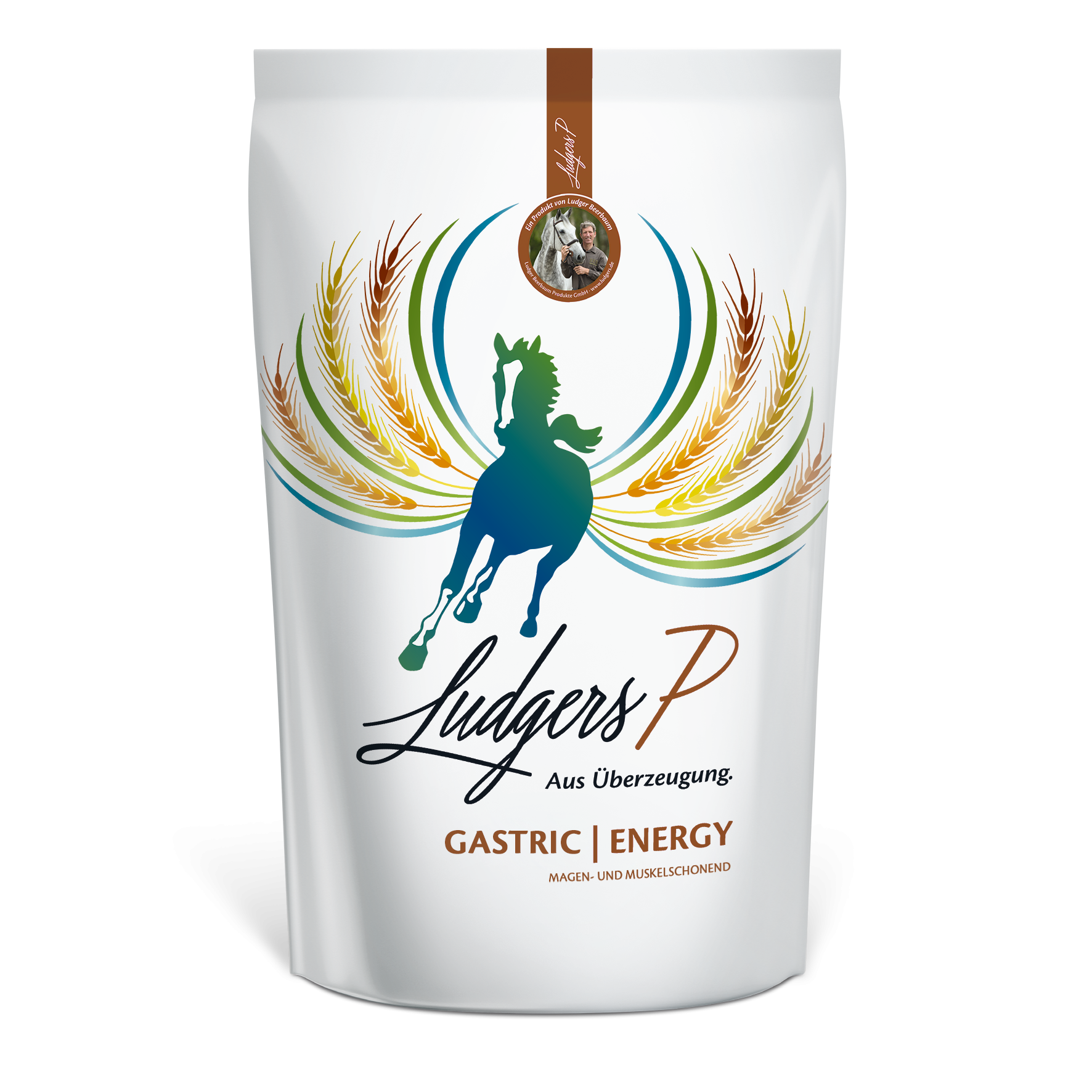 Ludgers P Gastric Energy