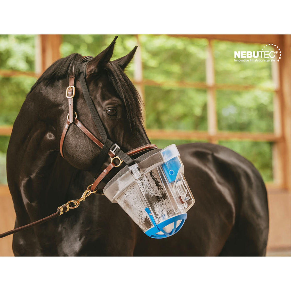Nebu-Tec SaHoMa-II Inhalationsset am Pferd