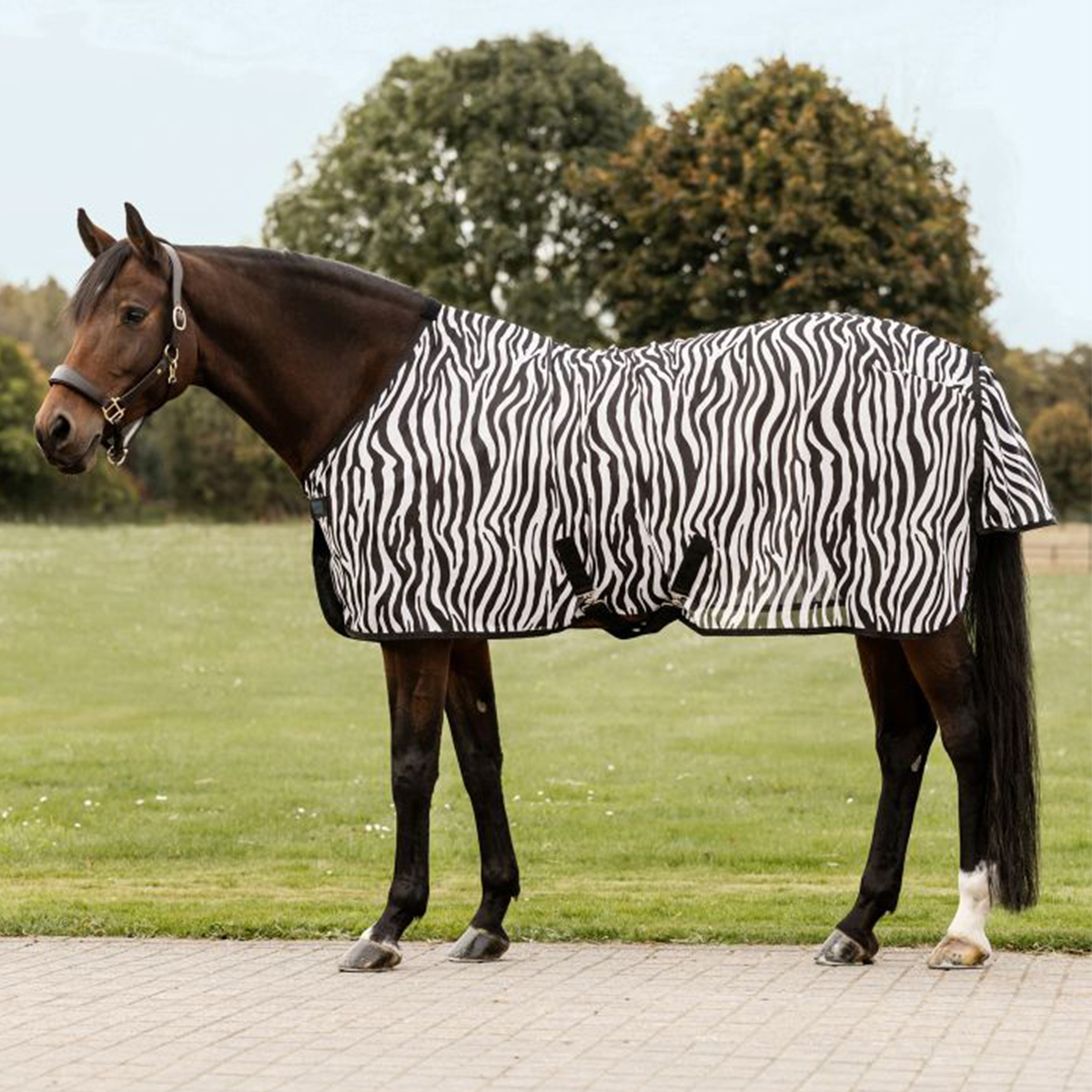 Produktansicht - Waldhausen - Fliegendecke Zebra mit Kreuzgurten