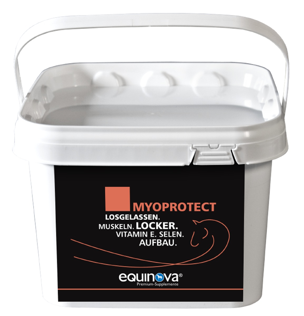 Produktansicht equinova Myoprotect Powder