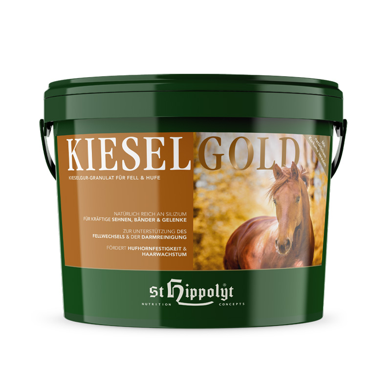 St.Hippolyt Kieselgold Eimer