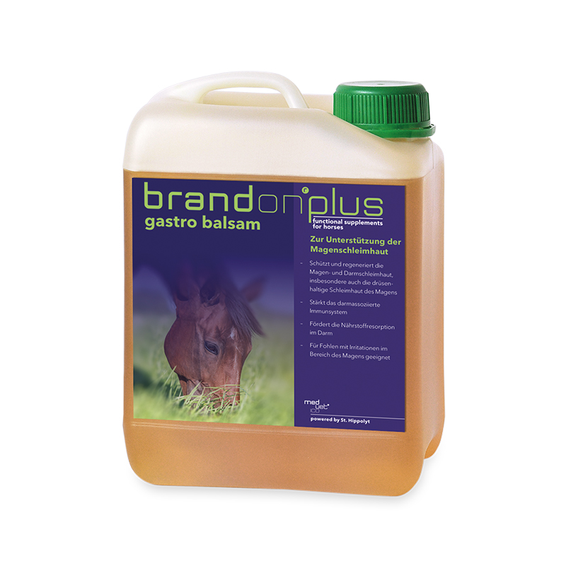 St.Hippolyt Brandon plus gastro balsam