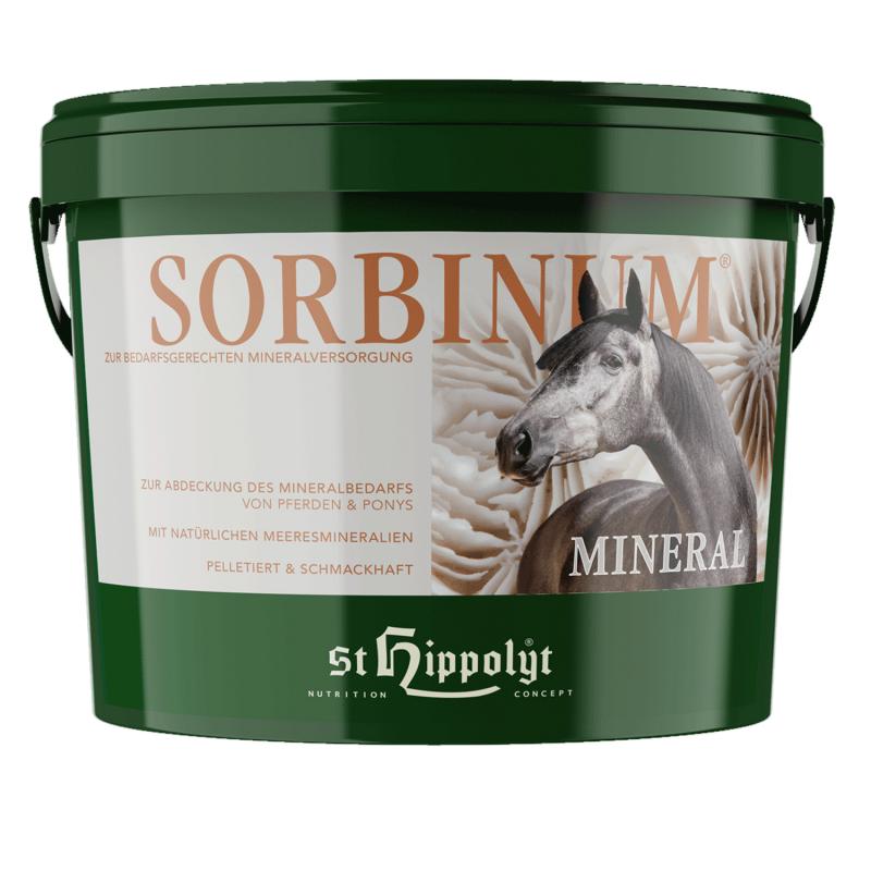 St.Hippolyt Sorbinum Calcium Eimer
