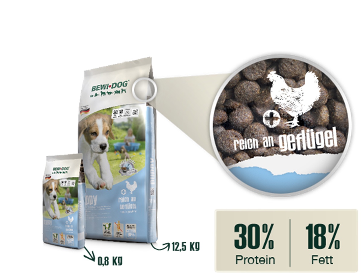 Produktansicht - BewiDog - Puppy