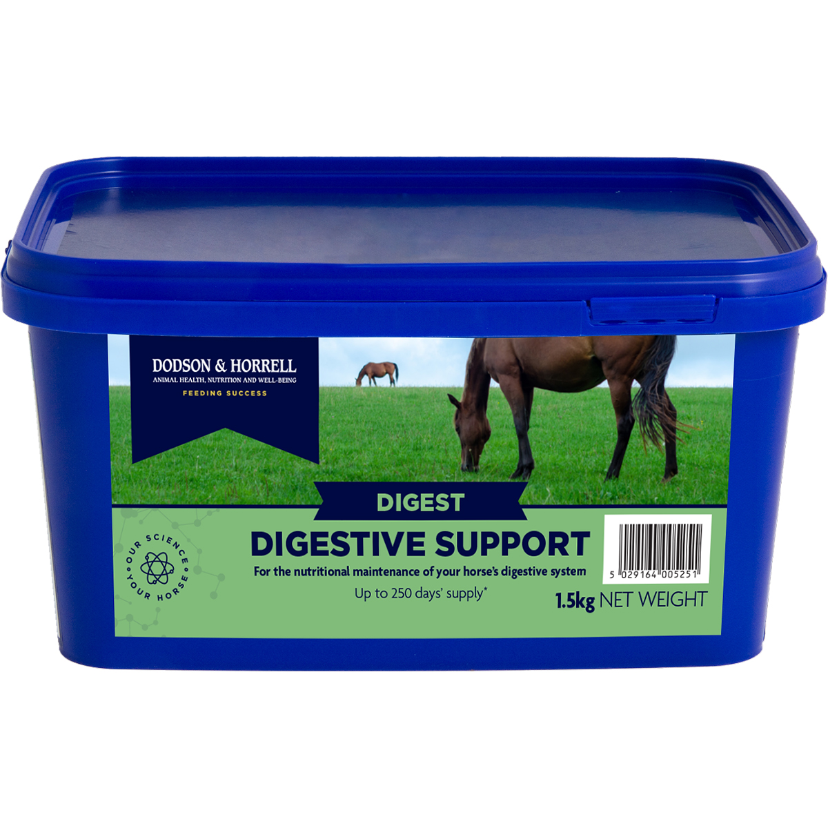 Produktansicht - Dodson & Horrell - Digestive Support