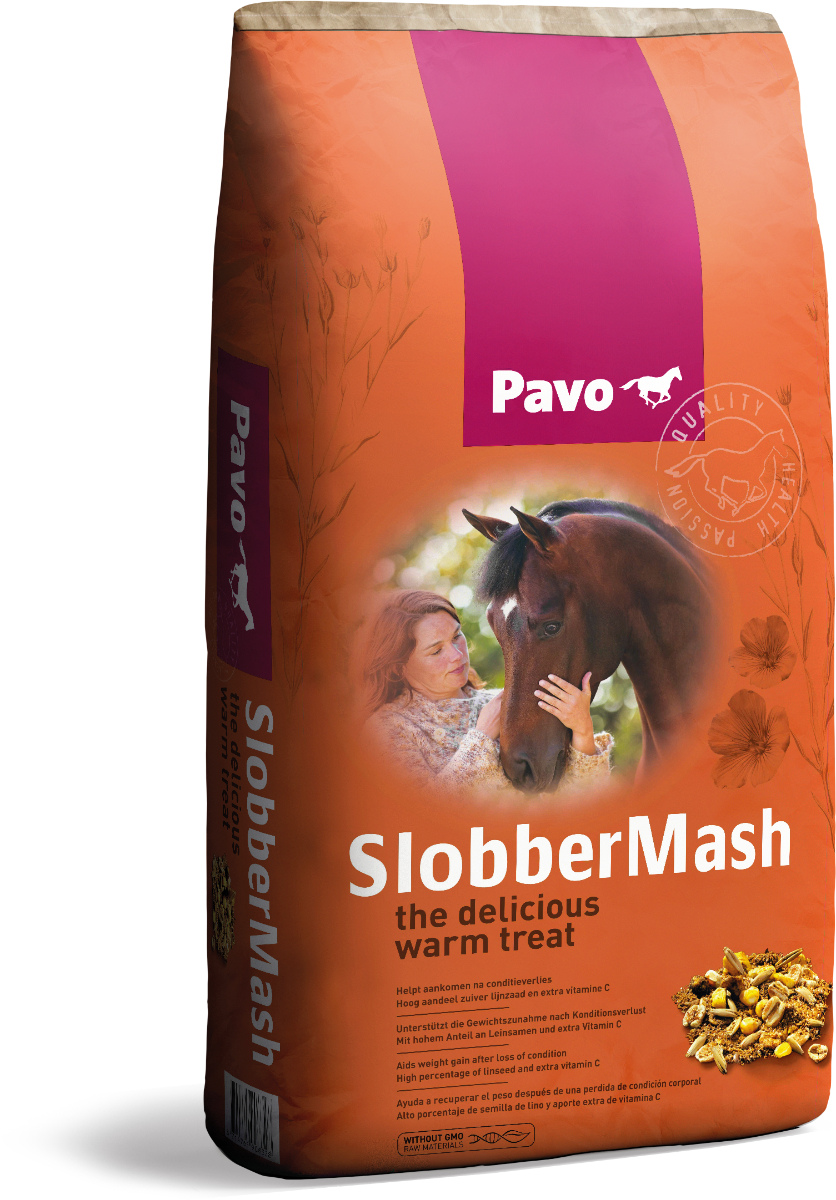 SlobberMash