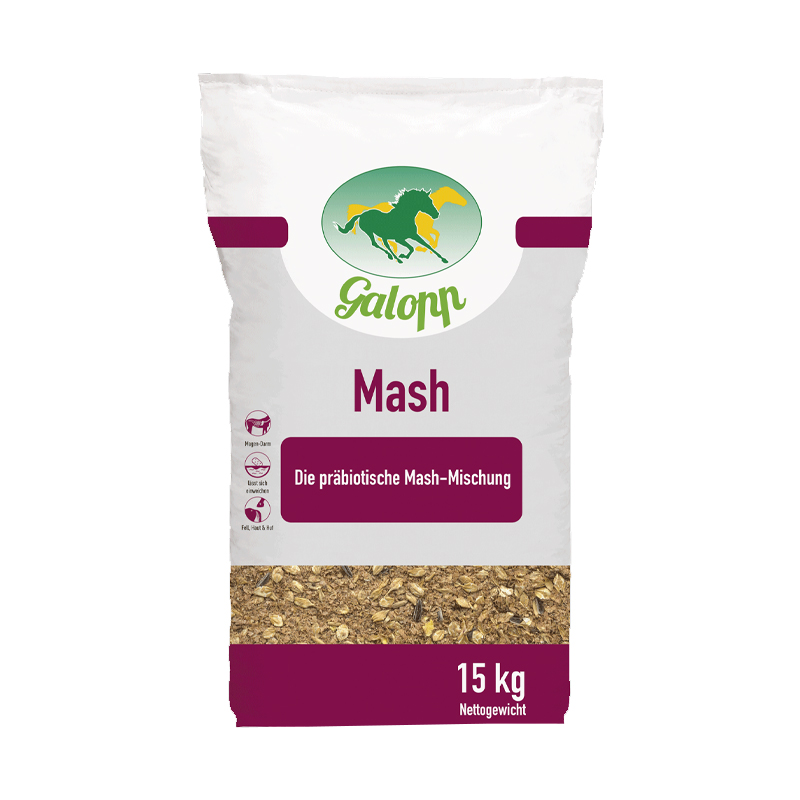 Galopp Mash