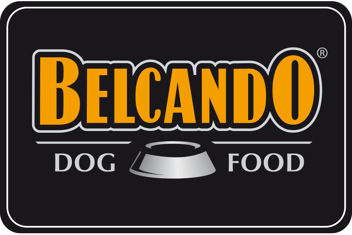 Bild - belcando-logo-1200x800px